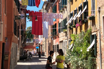 Plants: image 1 0f 4 thumb