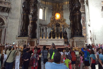 Plants: image 1 0f 4 thumb